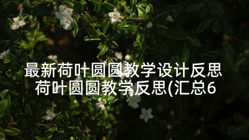 最新荷叶圆圆教学设计反思 荷叶圆圆教学反思(汇总6篇)