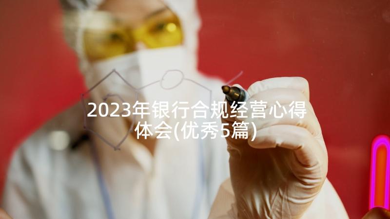 2023年银行合规经营心得体会(优秀5篇)