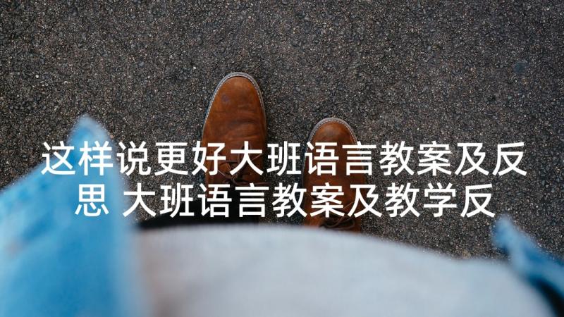 这样说更好大班语言教案及反思 大班语言教案及教学反思(模板5篇)