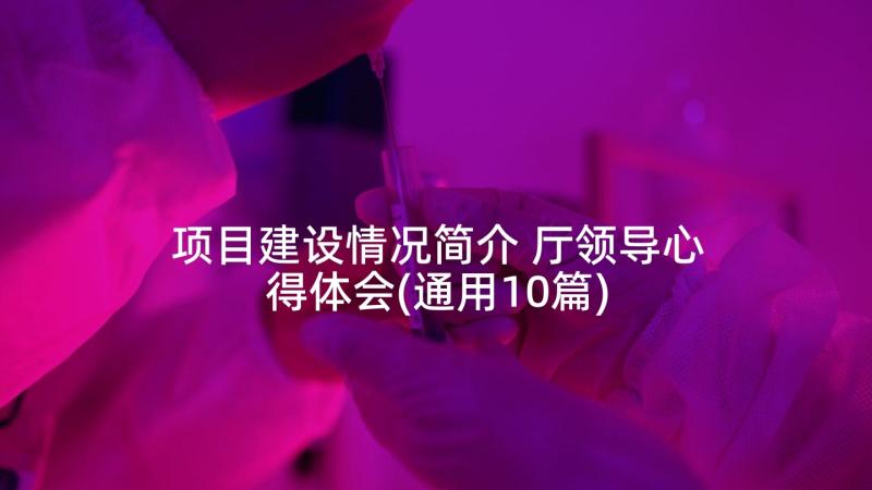 项目建设情况简介 厅领导心得体会(通用10篇)