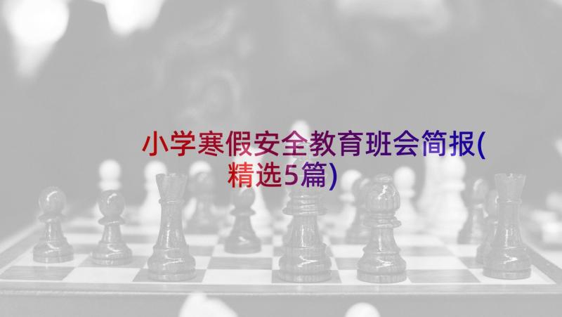 小学寒假安全教育班会简报(精选5篇)