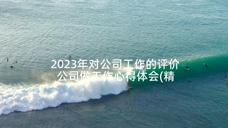 2023年对公司工作的评价 公司做工作心得体会(精选10篇)