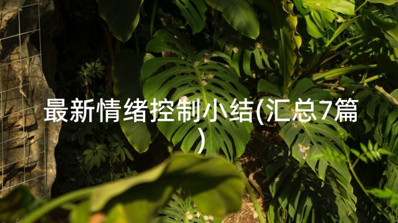 最新情绪控制小结(汇总7篇)