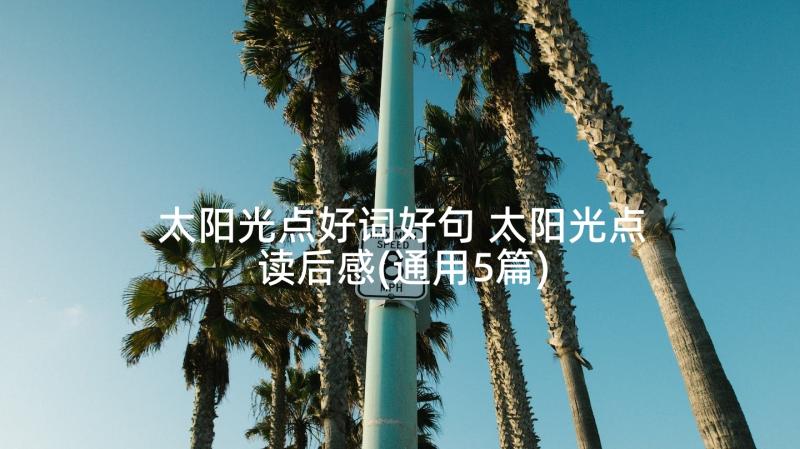 太阳光点好词好句 太阳光点读后感(通用5篇)