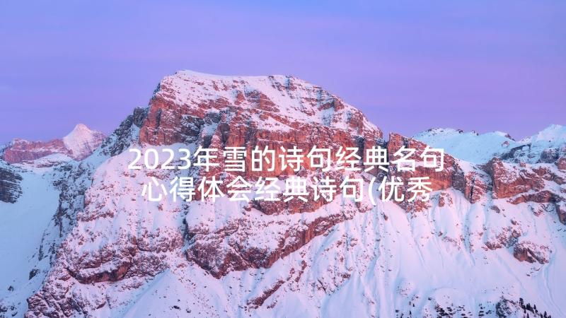 2023年雪的诗句经典名句 心得体会经典诗句(优秀8篇)