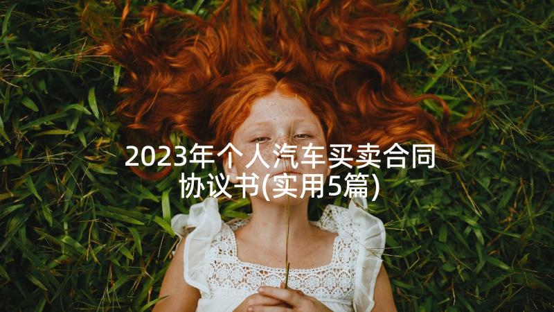 2023年个人汽车买卖合同协议书(实用5篇)