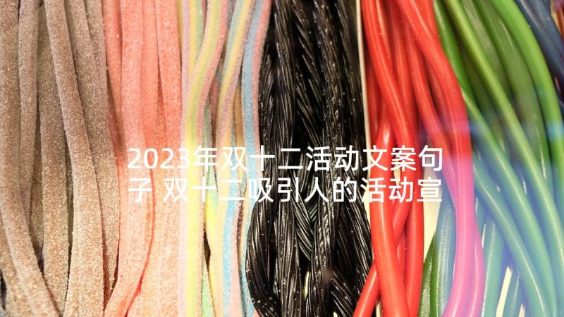 2023年双十二活动文案句子 双十二吸引人的活动宣传广告语条(大全5篇)