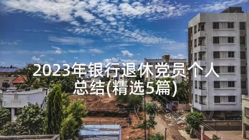 2023年银行退休党员个人总结(精选5篇)