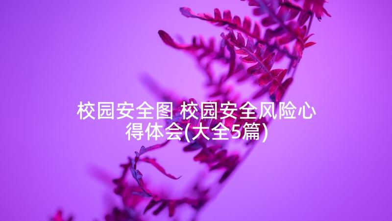 校园安全图 校园安全风险心得体会(大全5篇)