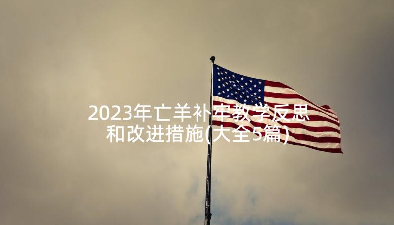 2023年亡羊补牢教学反思和改进措施(大全5篇)