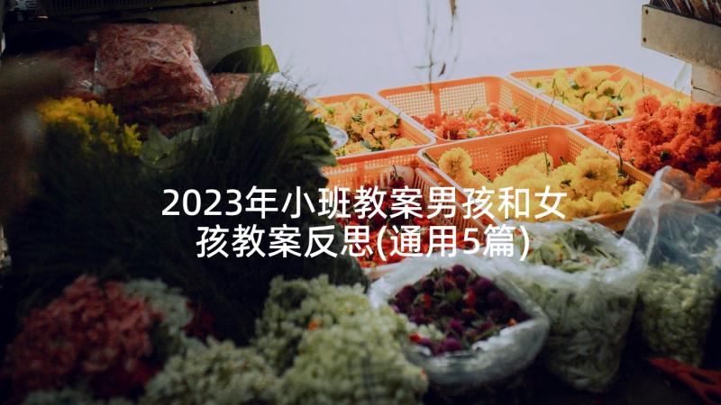 2023年小班教案男孩和女孩教案反思(通用5篇)