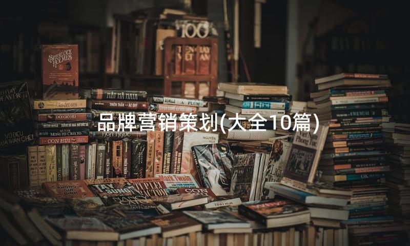 品牌营销策划(大全10篇)