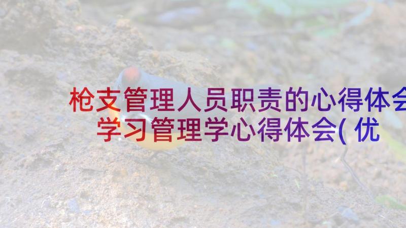 枪支管理人员职责的心得体会 学习管理学心得体会(优质10篇)