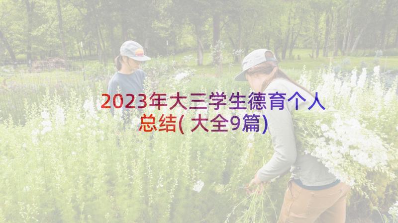 2023年大三学生德育个人总结(大全9篇)