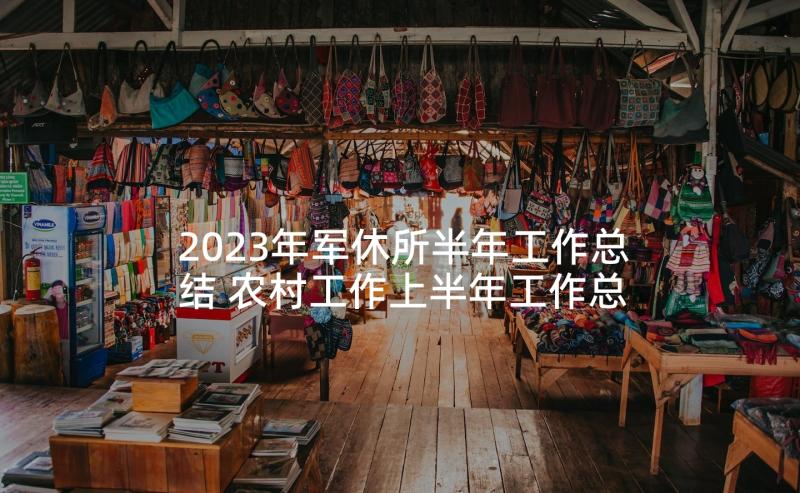 2023年军休所半年工作总结 农村工作上半年工作总结(模板5篇)