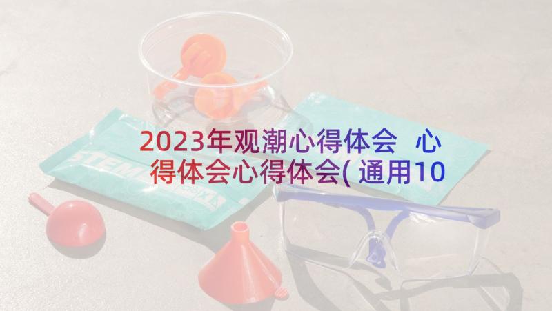 2023年观潮心得体会 心得体会心得体会(通用10篇)