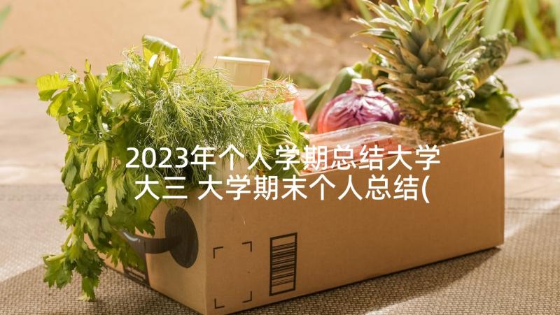 2023年个人学期总结大学大三 大学期末个人总结(大全6篇)