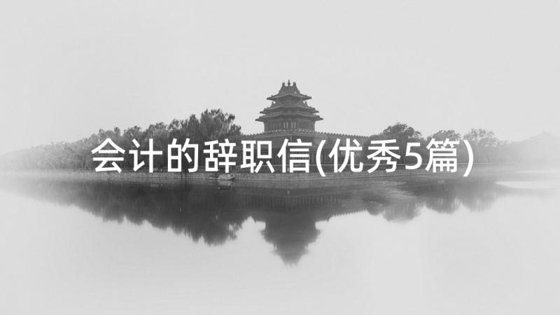 会计的辞职信(优秀5篇)