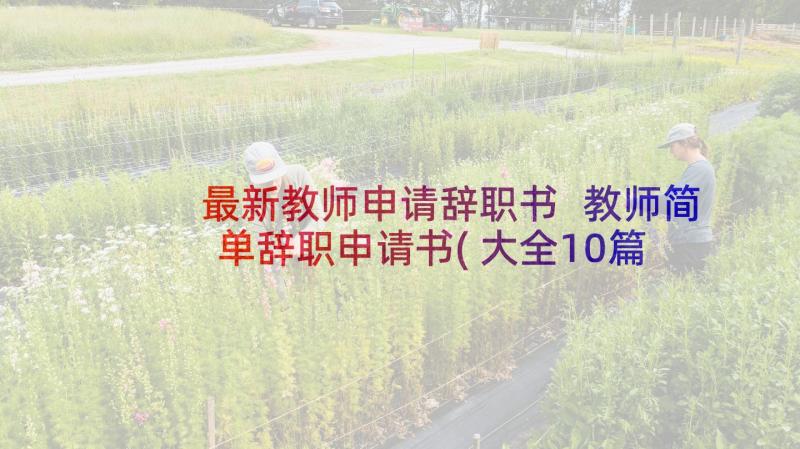 最新教师申请辞职书 教师简单辞职申请书(大全10篇)