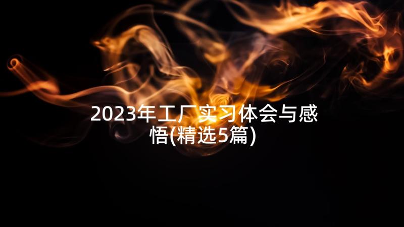 2023年工厂实习体会与感悟(精选5篇)