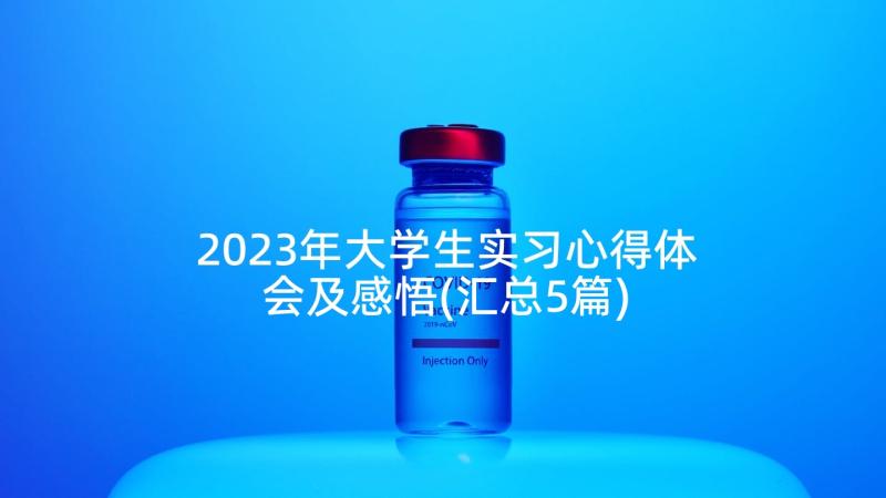 2023年大学生实习心得体会及感悟(汇总5篇)