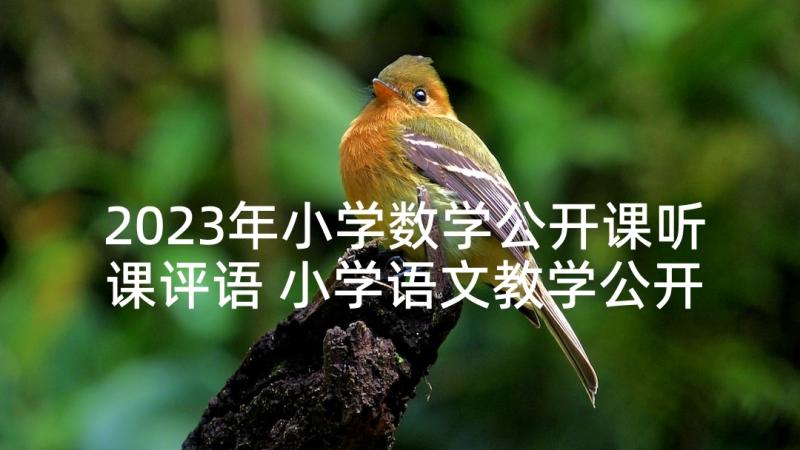 2023年小学数学公开课听课评语 小学语文教学公开课听课心得体会(通用7篇)