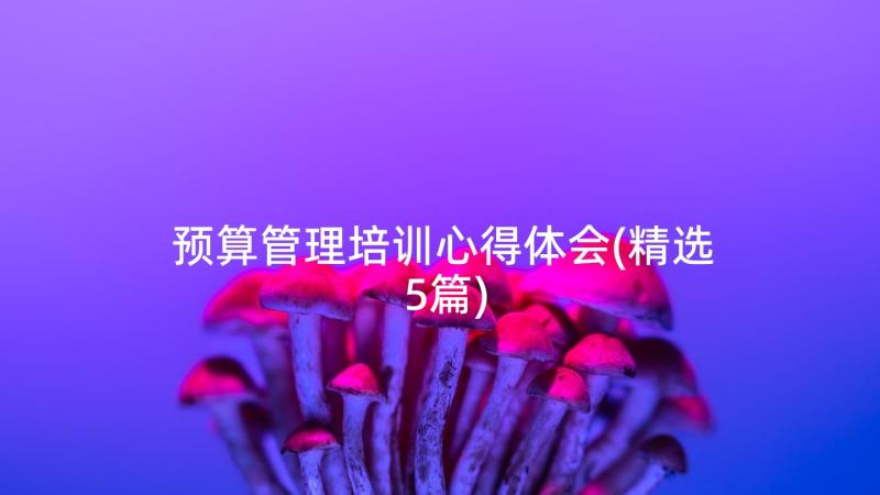 预算管理培训心得体会(精选5篇)