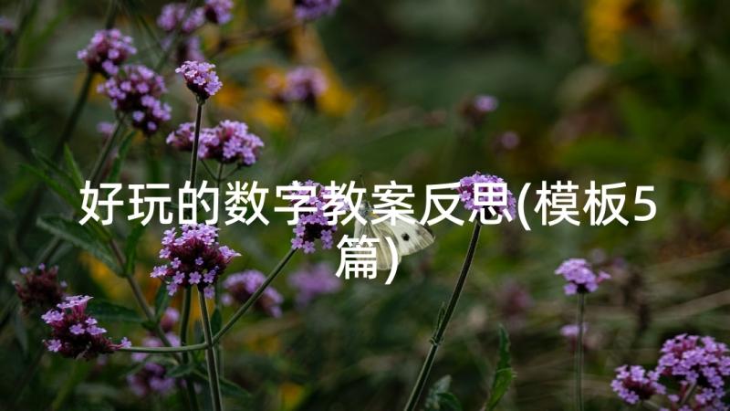 好玩的数字教案反思(模板5篇)