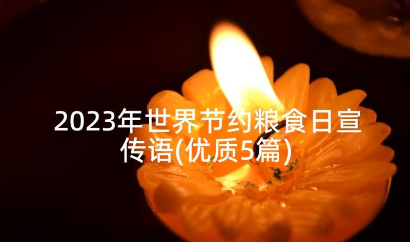 2023年世界节约粮食日宣传语(优质5篇)