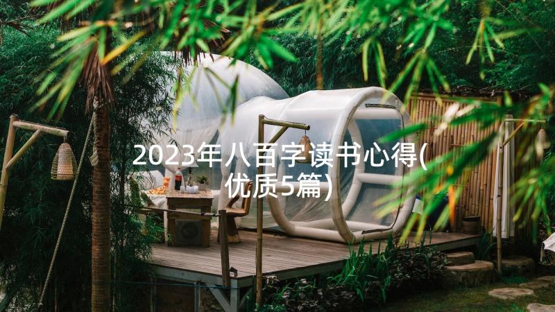 2023年八百字读书心得(优质5篇)