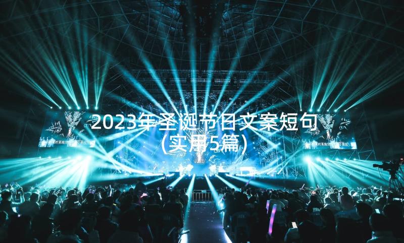 2023年圣诞节日文案短句(实用5篇)