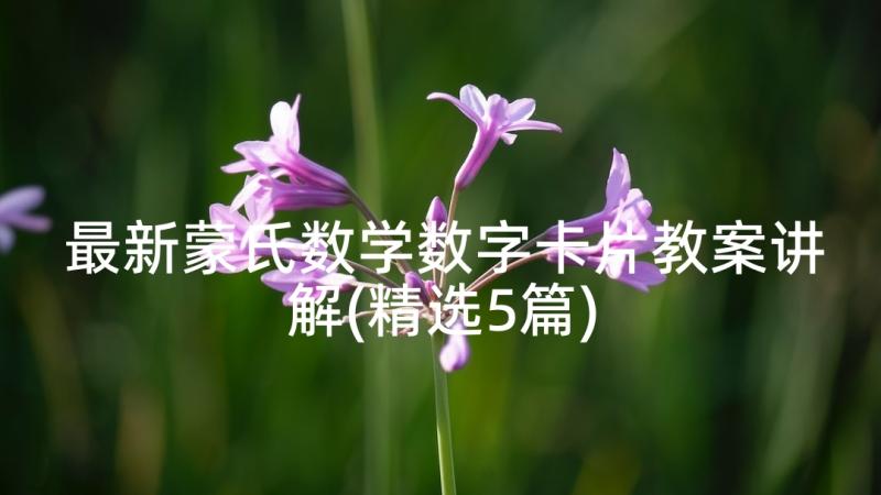 最新蒙氏数学数字卡片教案讲解(精选5篇)