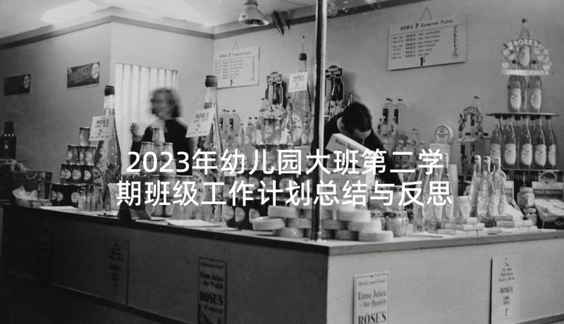 2023年幼儿园大班第二学期班级工作计划总结与反思(实用5篇)