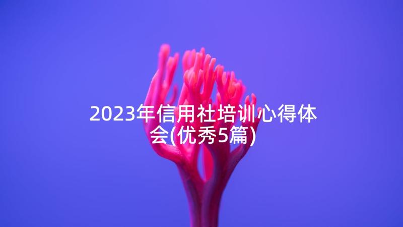 2023年信用社培训心得体会(优秀5篇)