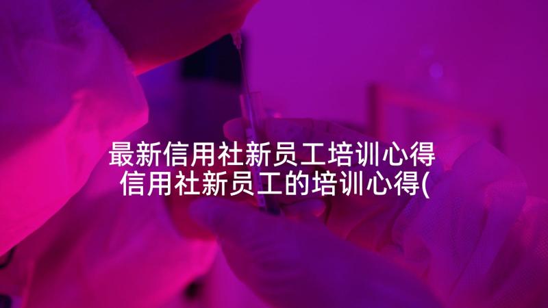 最新信用社新员工培训心得 信用社新员工的培训心得(实用5篇)