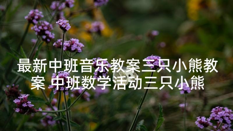 最新中班音乐教案三只小熊教案 中班数学活动三只小熊教案(优秀10篇)