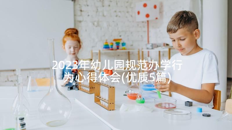 2023年幼儿园规范办学行为心得体会(优质5篇)