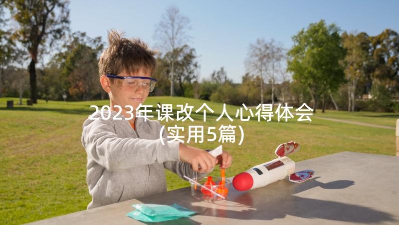 2023年课改个人心得体会(实用5篇)