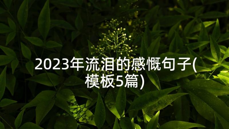 2023年流泪的感慨句子(模板5篇)