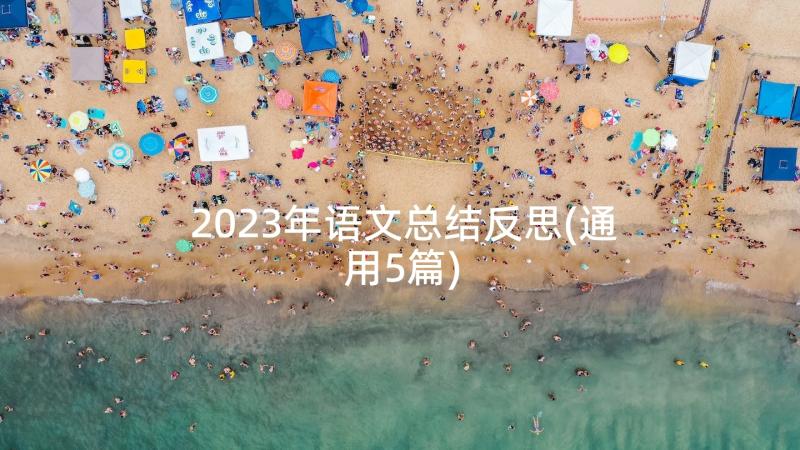 2023年语文总结反思(通用5篇)