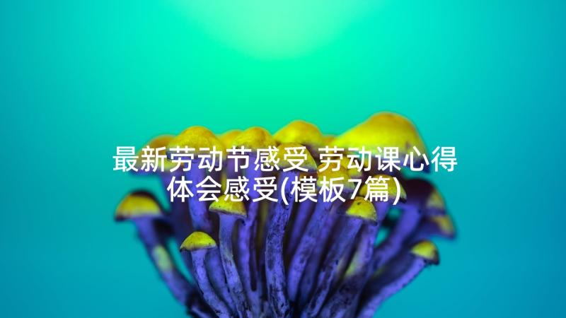 最新劳动节感受 劳动课心得体会感受(模板7篇)