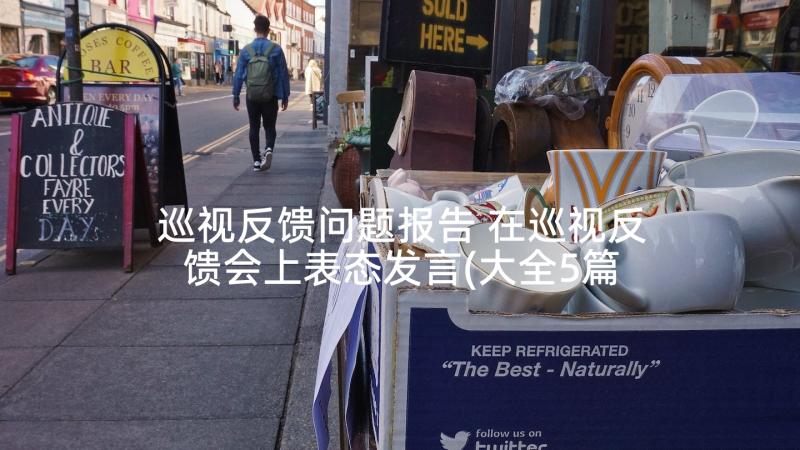 巡视反馈问题报告 在巡视反馈会上表态发言(大全5篇)