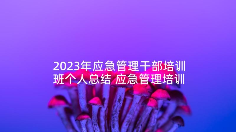 2023年应急管理干部培训班个人总结 应急管理培训的心得体会(优秀5篇)