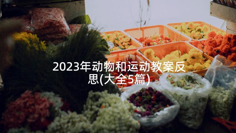 2023年动物和运动教案反思(大全5篇)