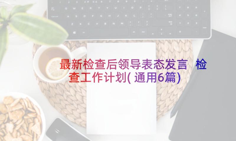 最新检查后领导表态发言 检查工作计划(通用6篇)