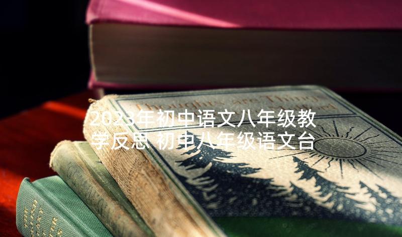 2023年初中语文八年级教学反思 初中八年级语文台阶优选教案(优质6篇)