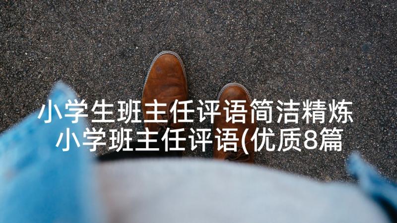 小学生班主任评语简洁精炼 小学班主任评语(优质8篇)