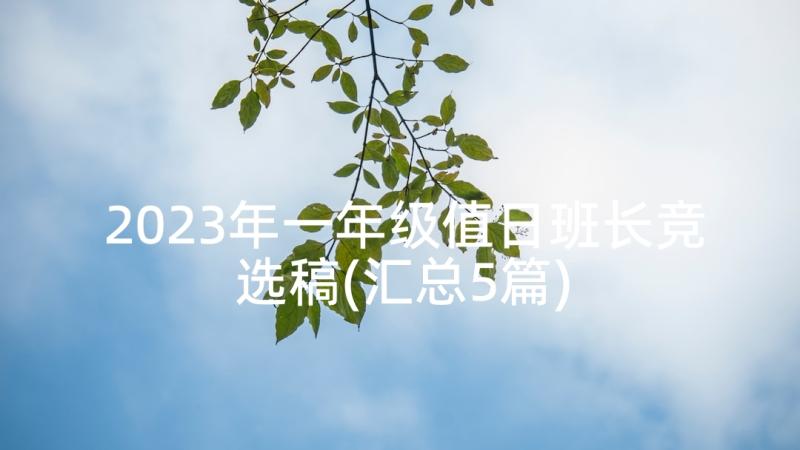 2023年一年级值日班长竞选稿(汇总5篇)