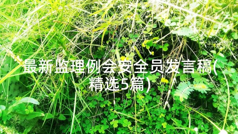 最新监理例会安全员发言稿(精选5篇)