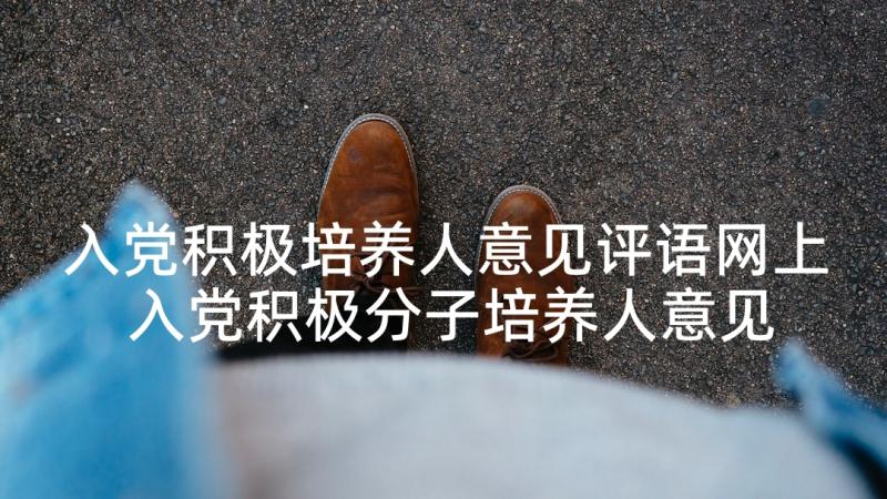 入党积极培养人意见评语网上 入党积极分子培养人意见(优秀9篇)